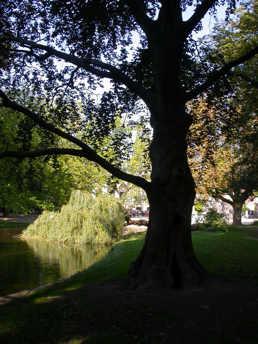 vondelpark